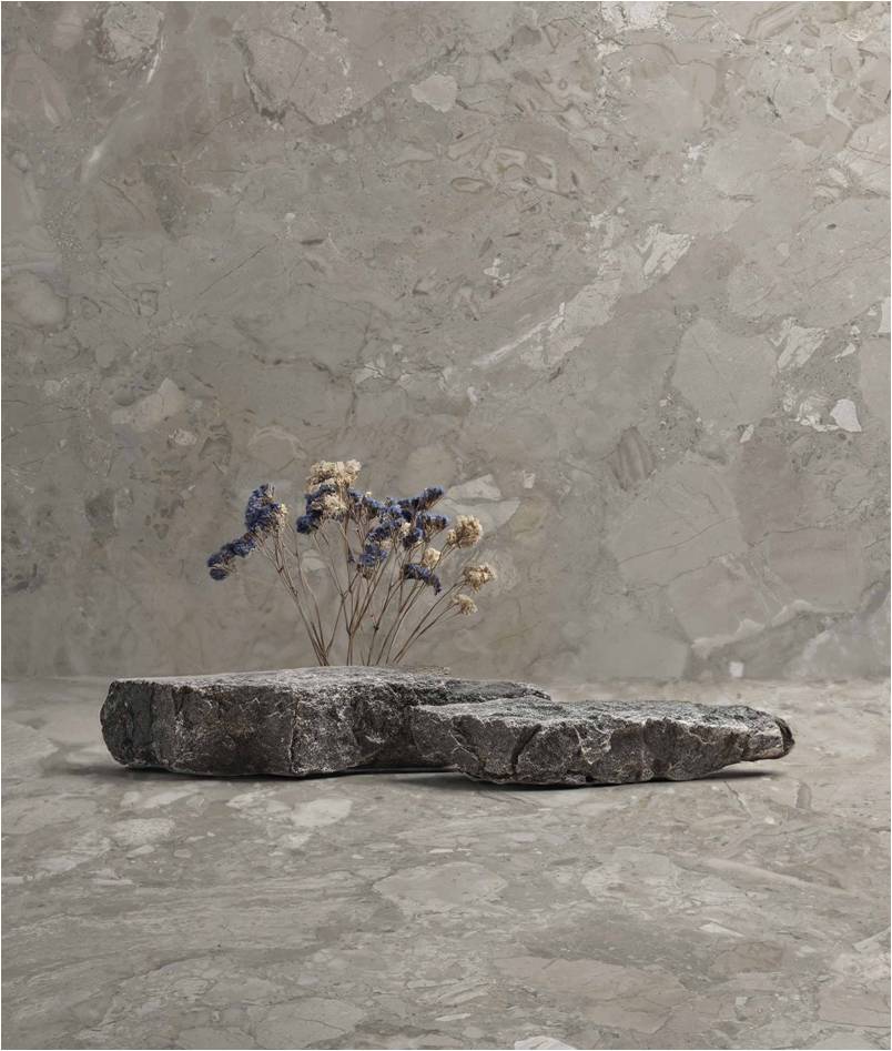 APAVISA | ASHEN | 4 Χρώματα ←enter